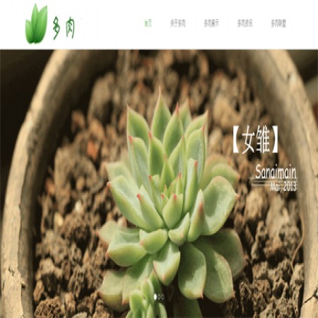 绿色多肉植物网站模板